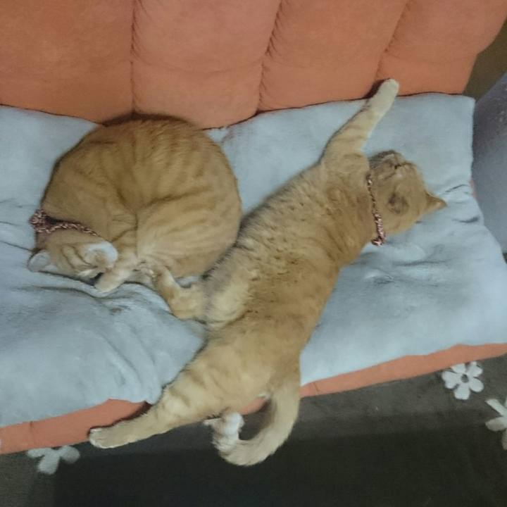 59e0ce14 ffa1 471e 99e9 f9771ff9b2ca