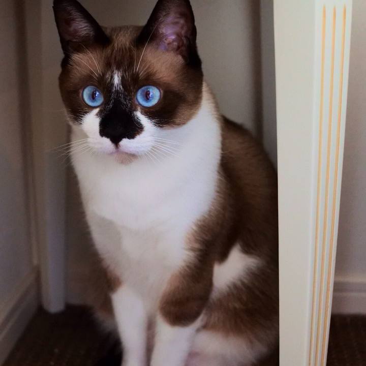 59e17804 d5a6 4d9b ae3c e58012c21b53