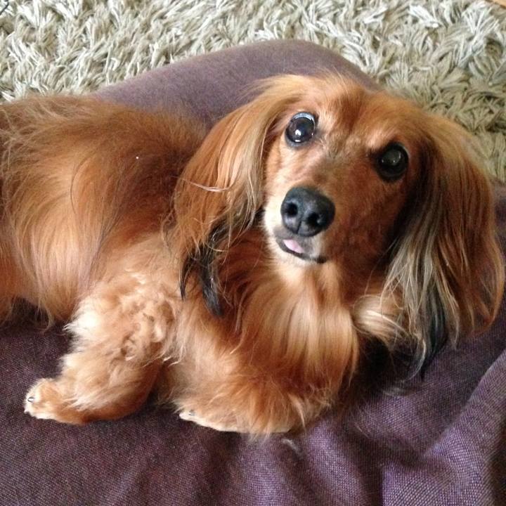 59e2248b a816 4bef 9ded 75f8725a317c