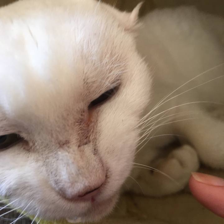 59e23a87 c93f 4bd3 8894 8543855fbc4d