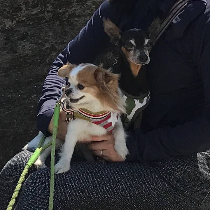 59e24d02 0d79 4047 b0c1 0f72e75b7ff4