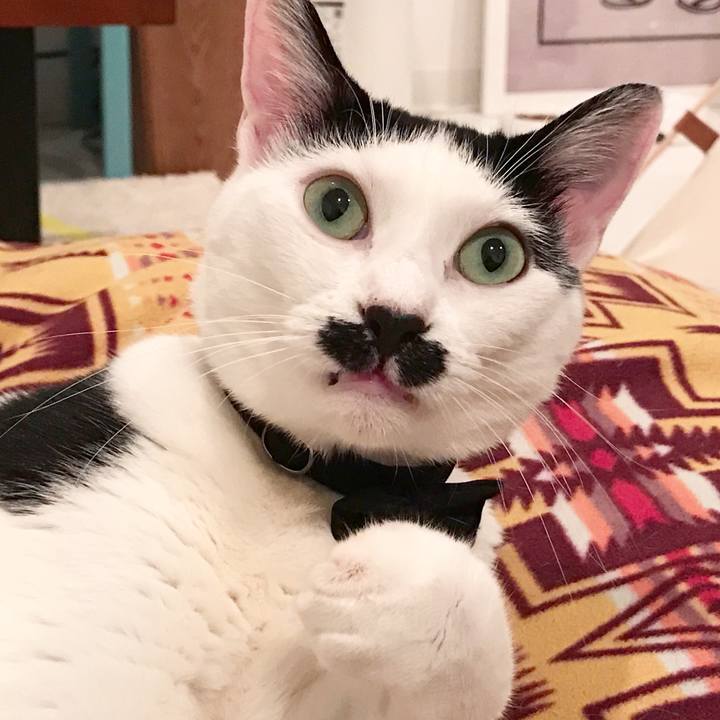 59e275a4 9d21 414f b61c 61a49c946e97