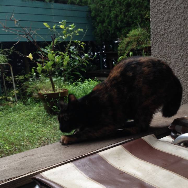 59e2ceec 5798 4f40 b1d0 b66bf88771f2