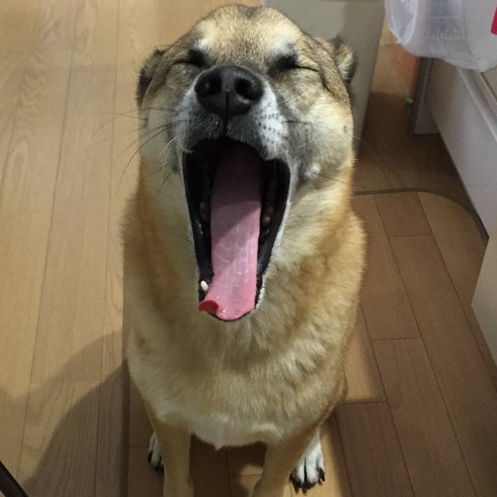 59e2d776 012b 4c2f aef2 8e5c343fa4a6