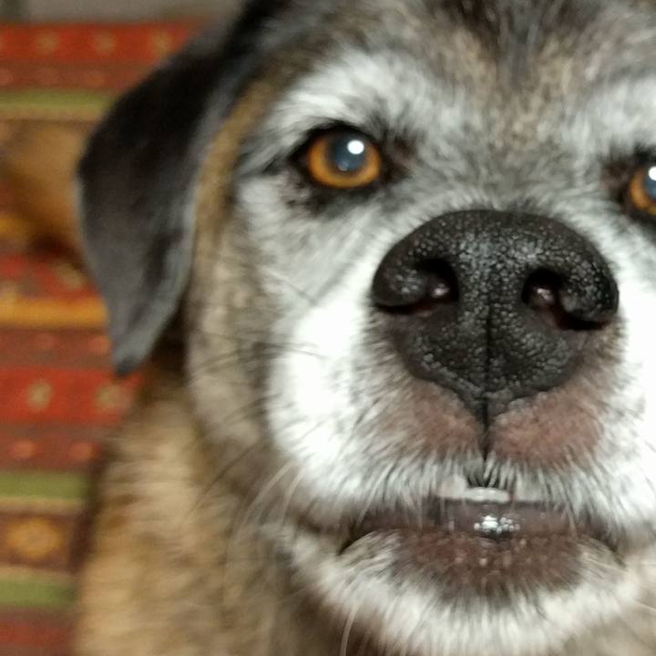 59e408f1 b8af 4b57 b3e1 296e4a8723ca