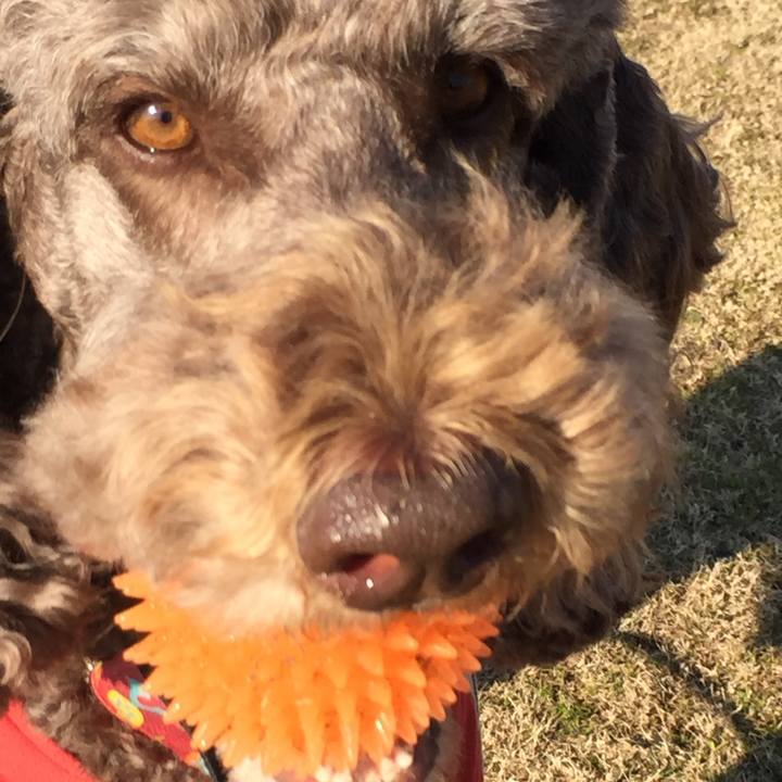 59e46b60 8709 4d28 97f8 6c9cc08c4fe8