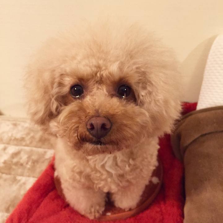 59e49ca6 4f08 43d7 9605 25459f044a87