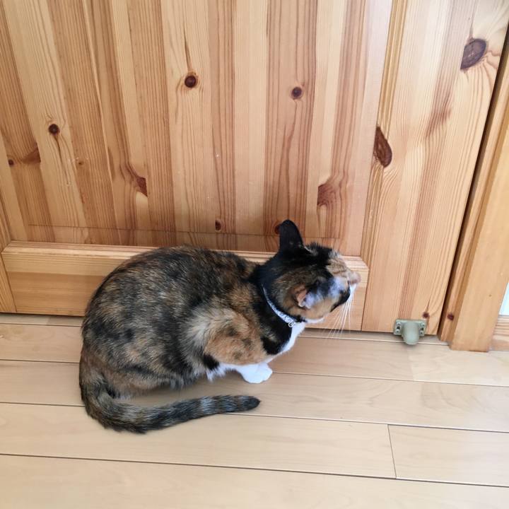 59e4a73b 4d75 4686 bf64 a15eb50c7abd