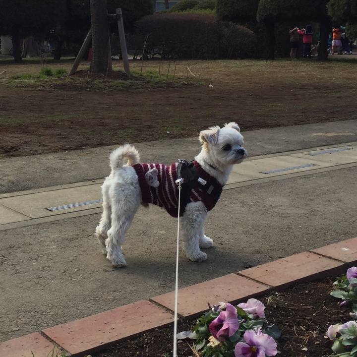 59e51c5b b0a9 4523 9494 2ecd3aaf45f1