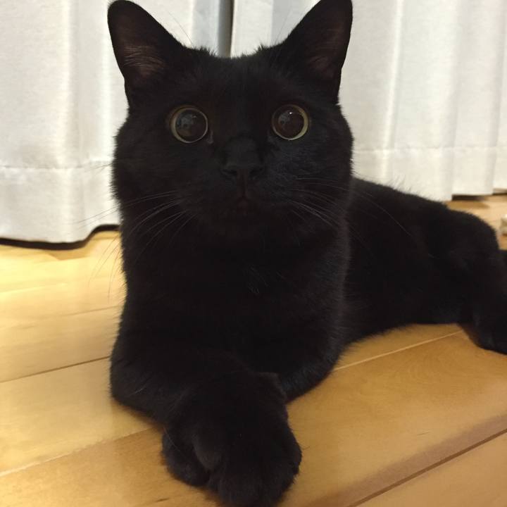 59e54220 c7c9 4fd3 ab2a fdfcaf238e40