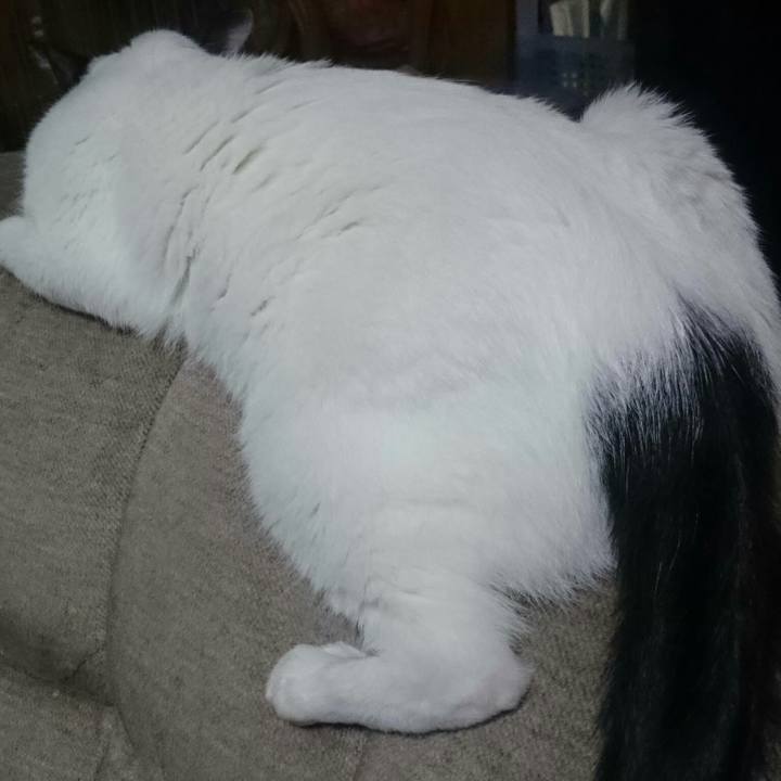 59e543ab 2ee6 4e6d 8b60 7050d2a1e836