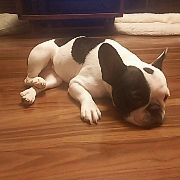 59e55423 782c 4932 810b d85b349f830a