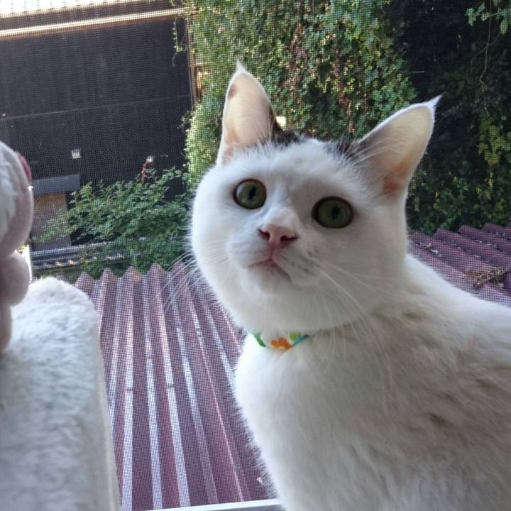 59e5f43e 23b7 4c5d 8a27 95b1cb8b867c