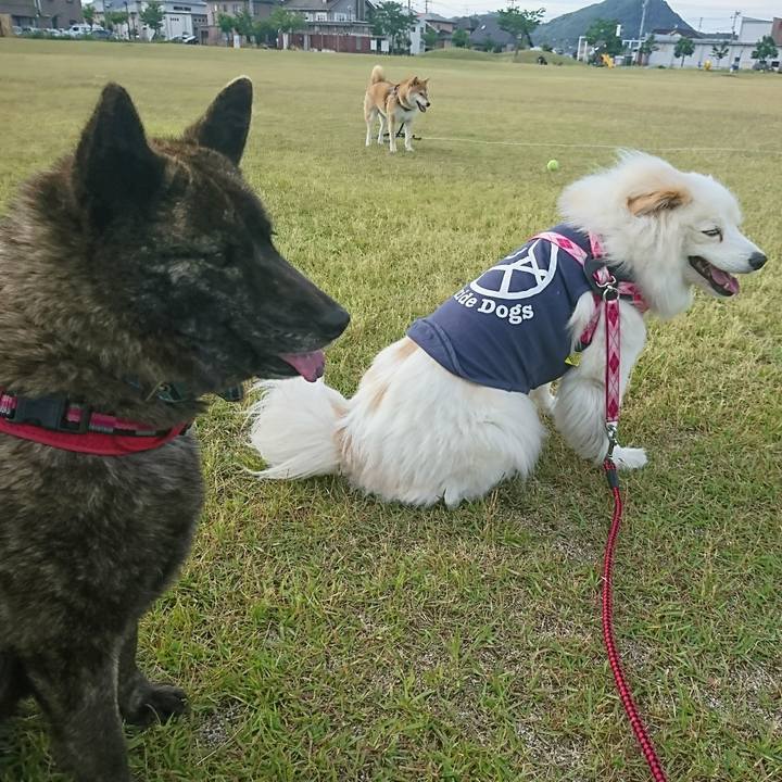 59e665b7 3b9f 45cf 9c5e f8a5f4f423e9