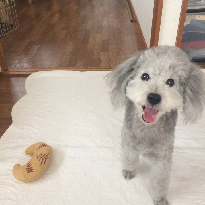 59e72199 877f 4c91 93c2 976b6a33748b