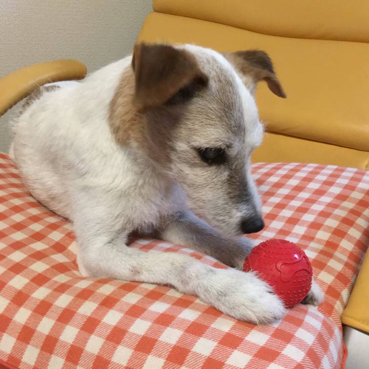 59e7c0f6 8b7f 4412 9cee c0cd2e3aa6cc