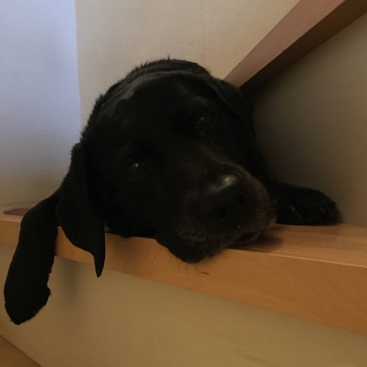 59e800cb bd34 4425 93d4 b01e0588e4a2