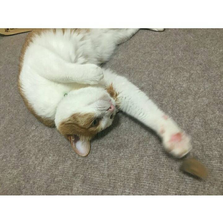 59e8be61 de5b 4f96 a871 0a9cce37b549