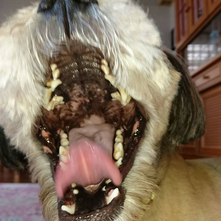 59ea35d9 3d21 45ae 95ad d7c32b914120