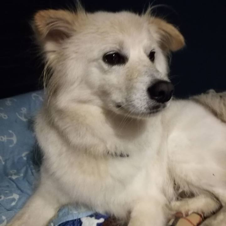 59ea3769 2130 4c16 bdb5 3f2950e35bc1