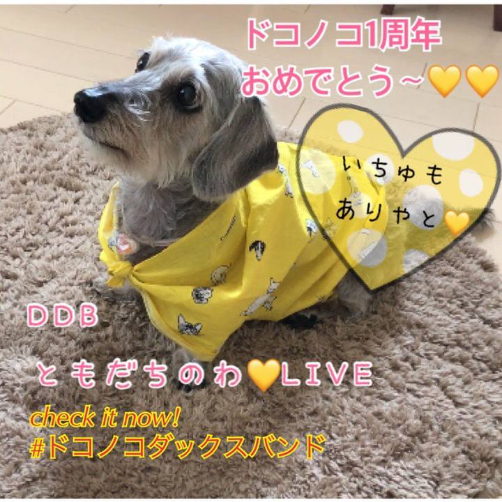 59eadd51 e017 47dc a526 942320307dde