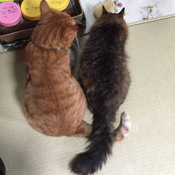 59eba6f4 500c 4d82 81e2 47ae150bc03e