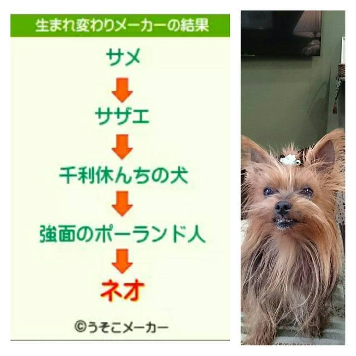 59ec21fc 3898 45f8 8b99 ebf05740ced0