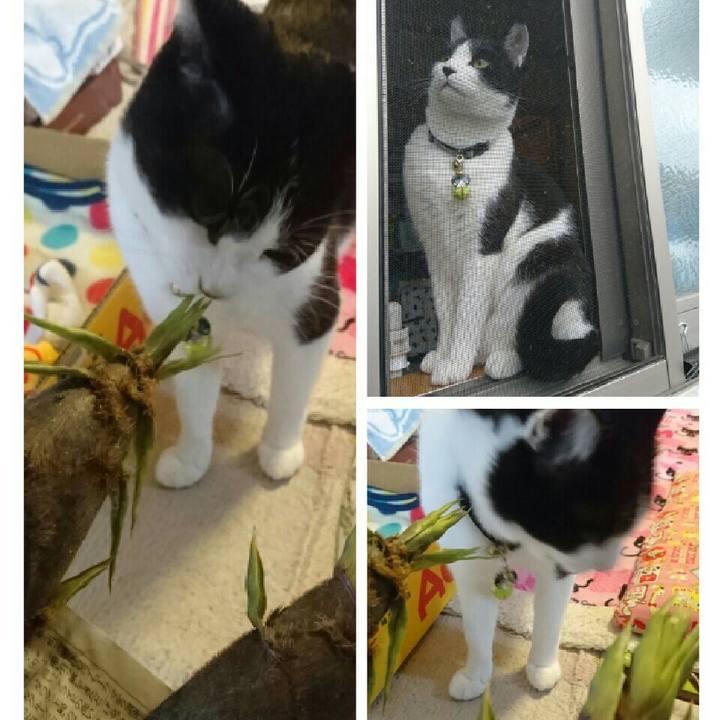 59ec5c45 f1c6 4c2d 99bb ead906b67a26