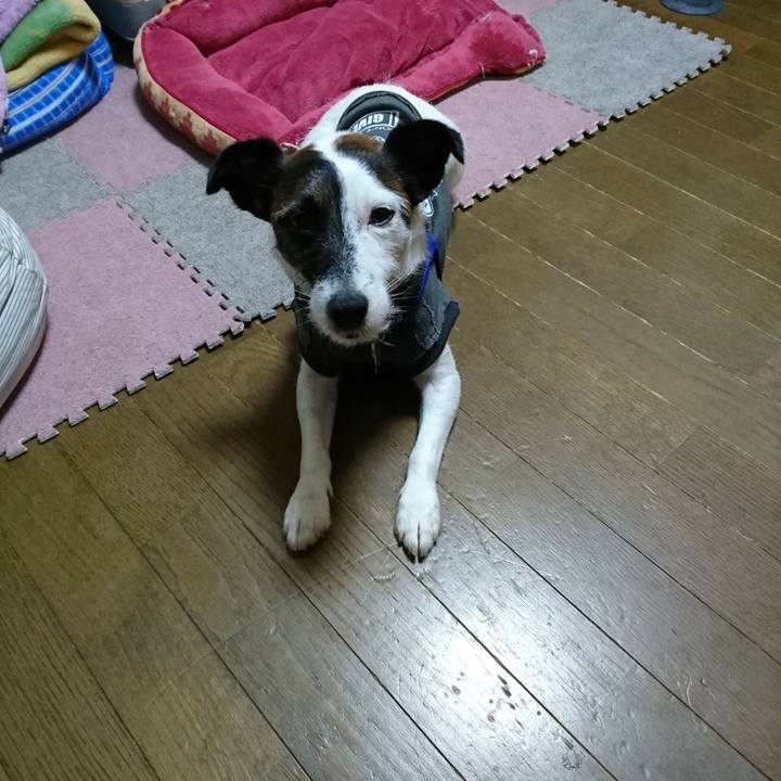 59ec707c 4395 43ff bb45 557bd3f30444