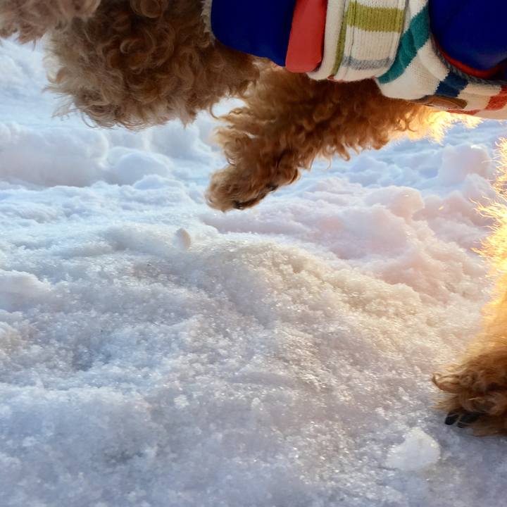 59ed3886 41bb 42fe 9d30 cc4f01fc0945