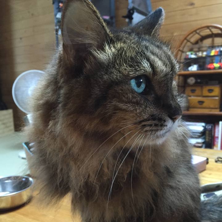 59ed9eec 6893 4110 846a 5b4375c36948