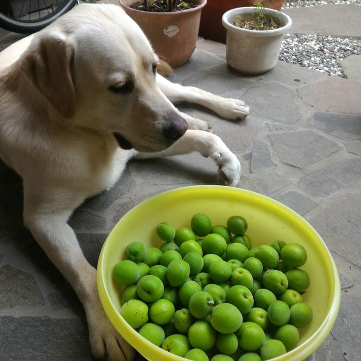 59ede533 d884 4424 a70c 10bcdd9b3981