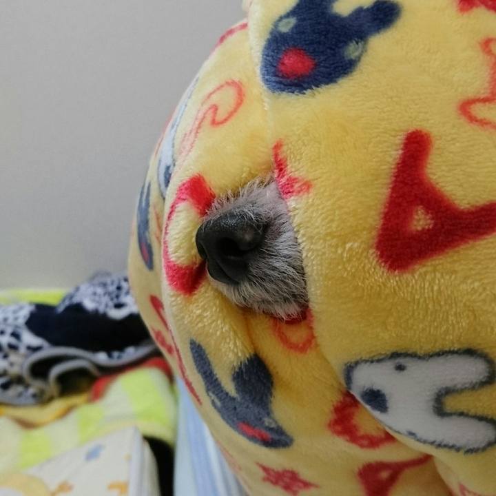 59edf3dc 6d56 448e 9bd3 8fe9e47bd364