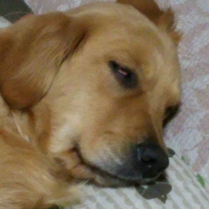 59ee179f 4a81 4614 9931 4b8597a65908