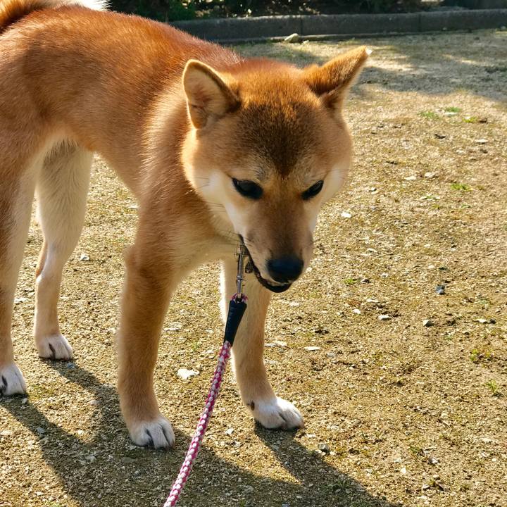 59ee4bfc a6e9 4d03 979b d4a027b623a1