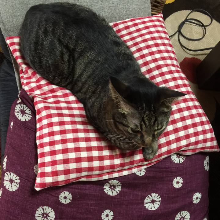 59ee6e82 07c1 41a8 adfd 99df0841627f