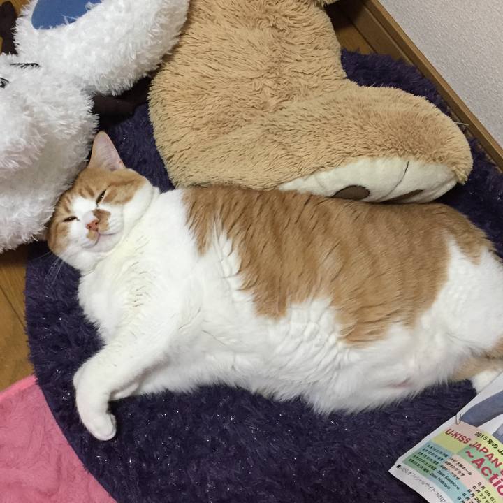 59eec25b 4c75 45b3 88e9 d4995cadf786