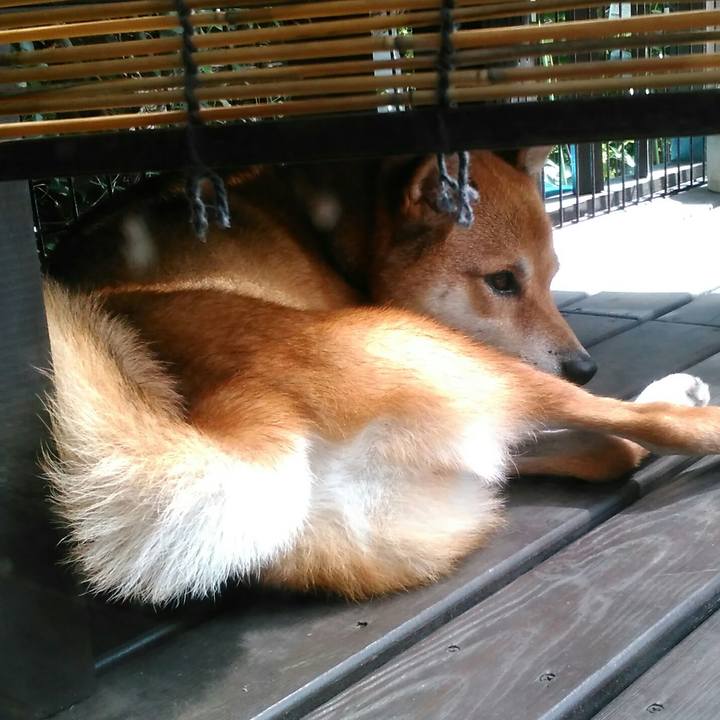 59ef60b6 2006 4516 bfd4 657941656b44