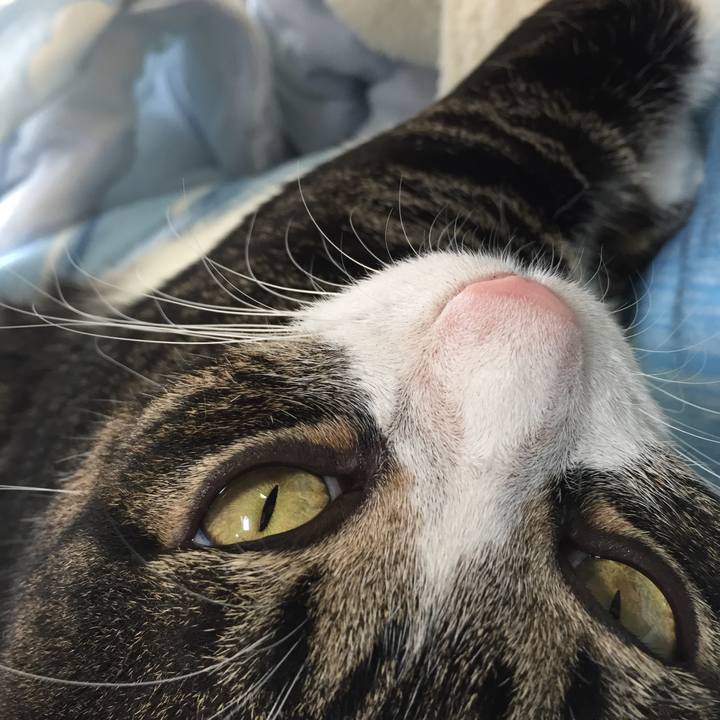 59f057e3 ac98 4bfd 90e8 1e3151360851