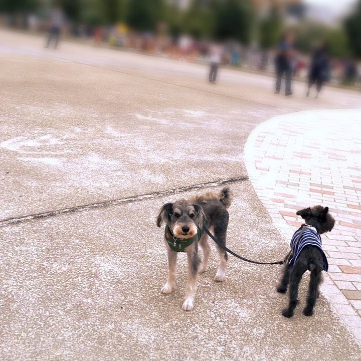 59f06856 0e51 4a25 860c 0e86799547cf