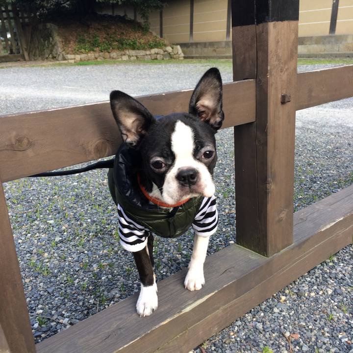 59f0a303 7454 4384 891d 899c4dbb0acc