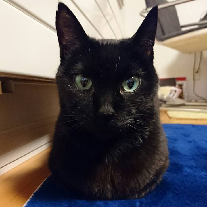 59f0adb0 f1ac 4cab ad4c e965d04afc2c