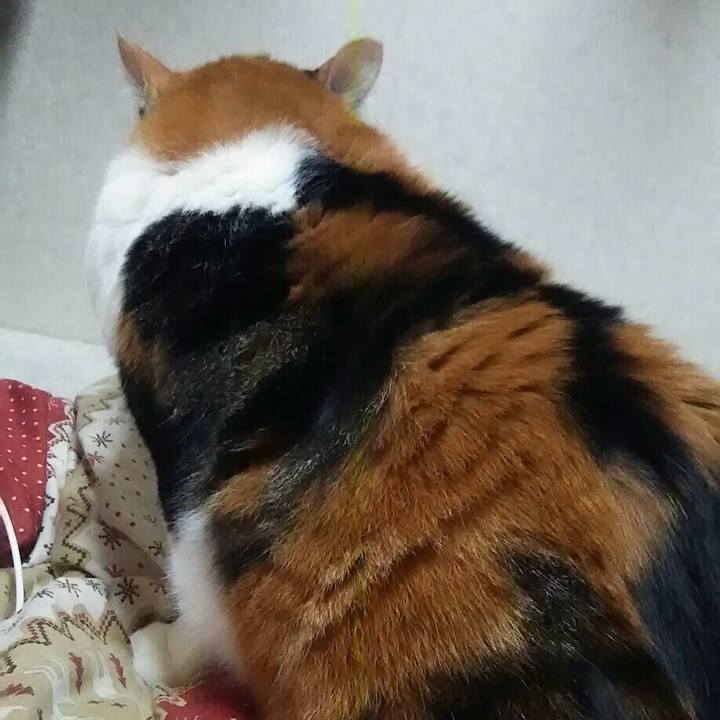 59f0bac7 0f8f 4b56 bc8b 54bceedb7e80