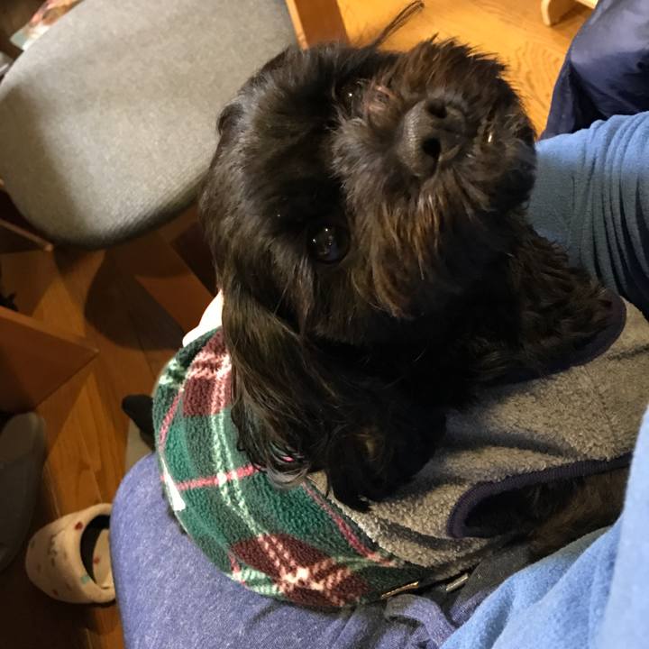 59f14d1c d2a5 48f0 a3c1 987fd65afffd