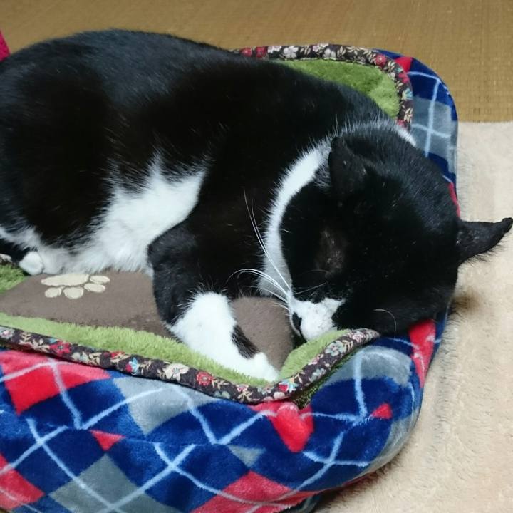 59f18d46 ac0d 414b 922b 7f8192e769d3