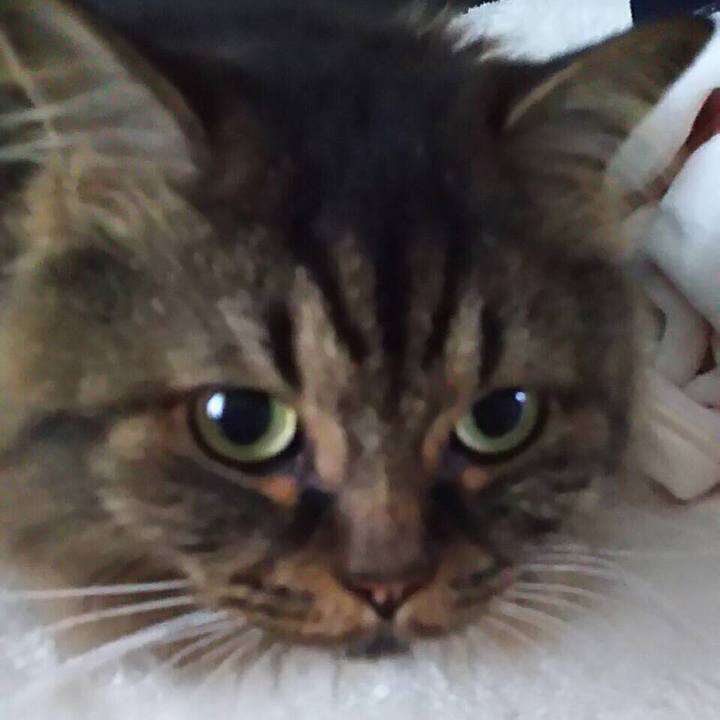 59f1ebee 07e5 4343 a706 9a1fa92aebba