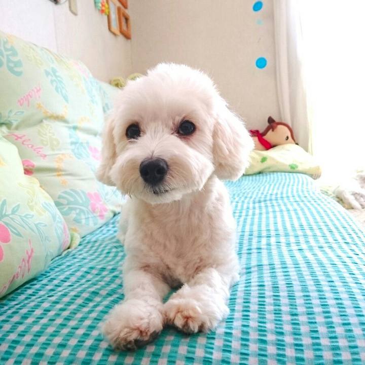 59f2384f a43c 4f85 9d51 4e1e491832cf