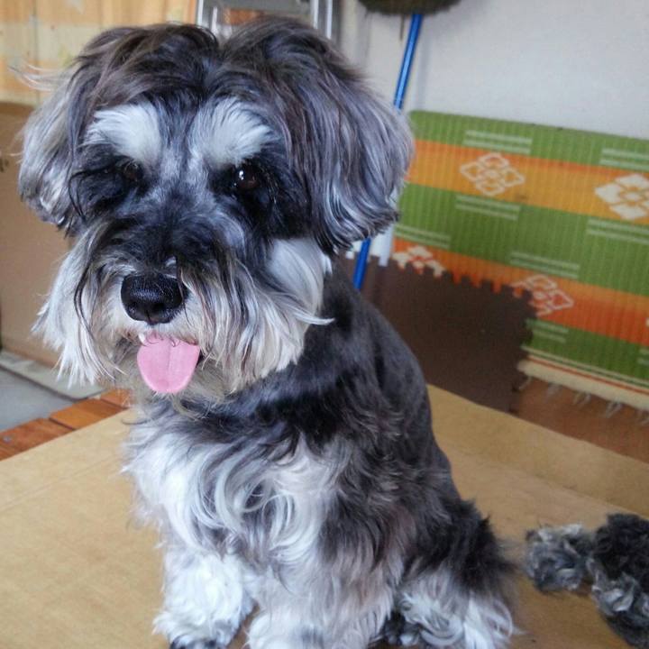 59f25413 8585 4266 bff2 8005bdd2db6a