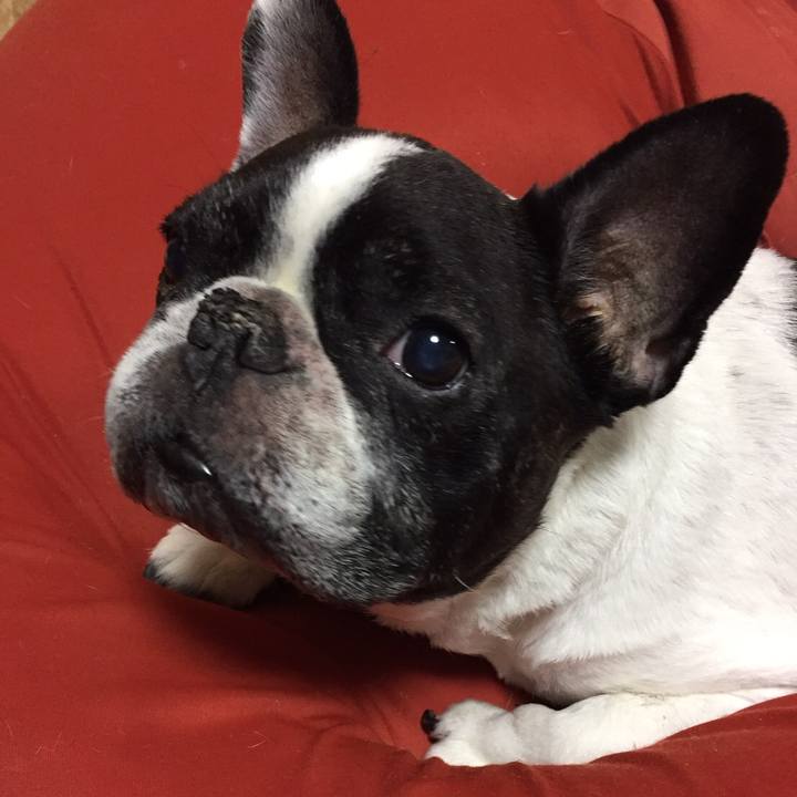 59f3254c da7e 47ca bb27 fb805679420e