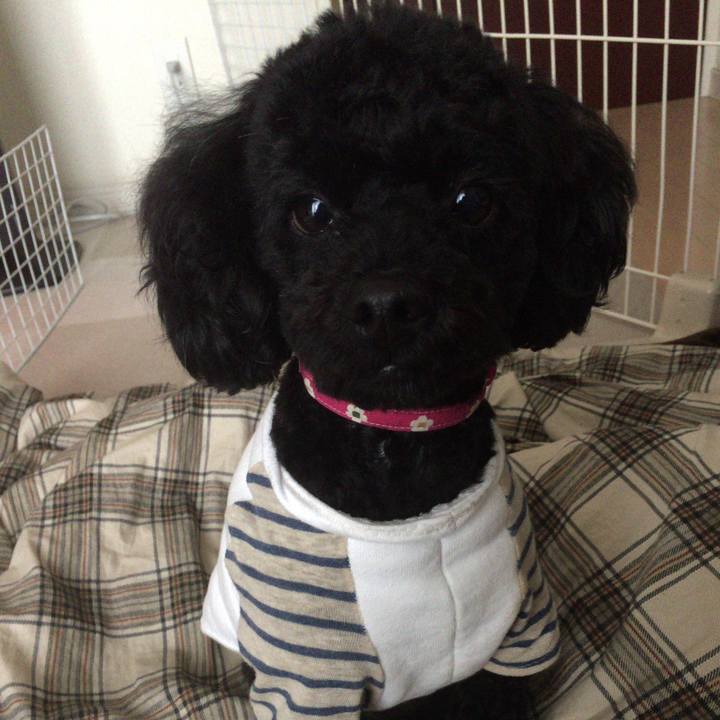 59f33021 2db1 4a0c b3aa 68082d96ebbb